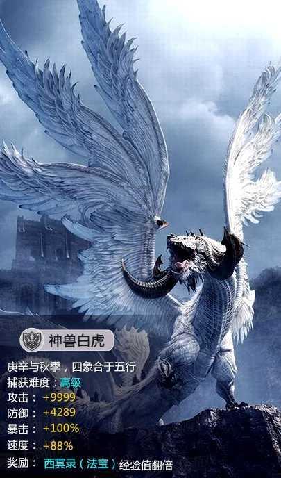 在筛选简历和面试过程中，以下岗位需要关注那些方面。